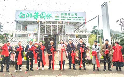 必发7790湖南分公司盛大开业，，，征战华中市场