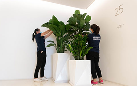 ط7790ʺϰڷŰ칫ҵɫֲ