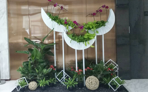 ܰڷŹ˾ ֲ޼Ǯ