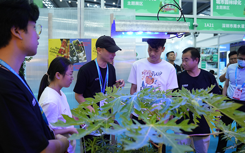 陶醉式体验必发7790“自然集叙”展会现。。。