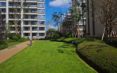 喜讯！必发7790中标中化金茂物业昆明区域绿化养护项目