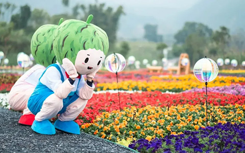 必发7790养护案例 | 拾趣自然，，，纵享田园，，，杜阮凉瓜田园综合体等你来打卡!