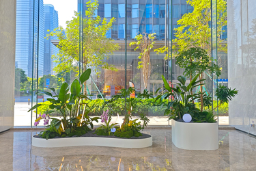 广州小米大厦绿植租摆